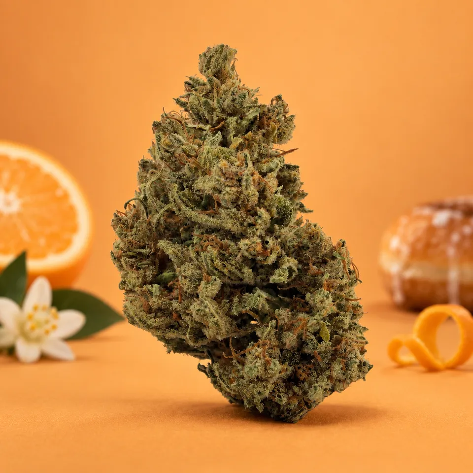 Blato Orange Blossom fleur 5G agrumes florale