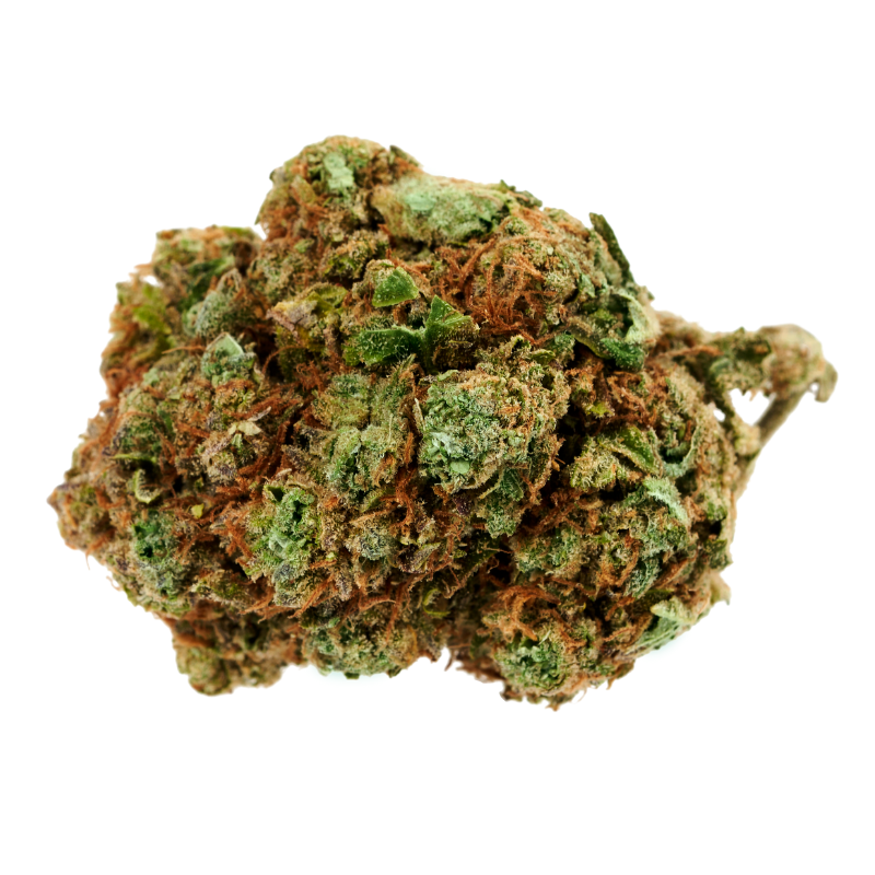 Green Vallée Amnesia Haze GVX 40% fleur indoor citron