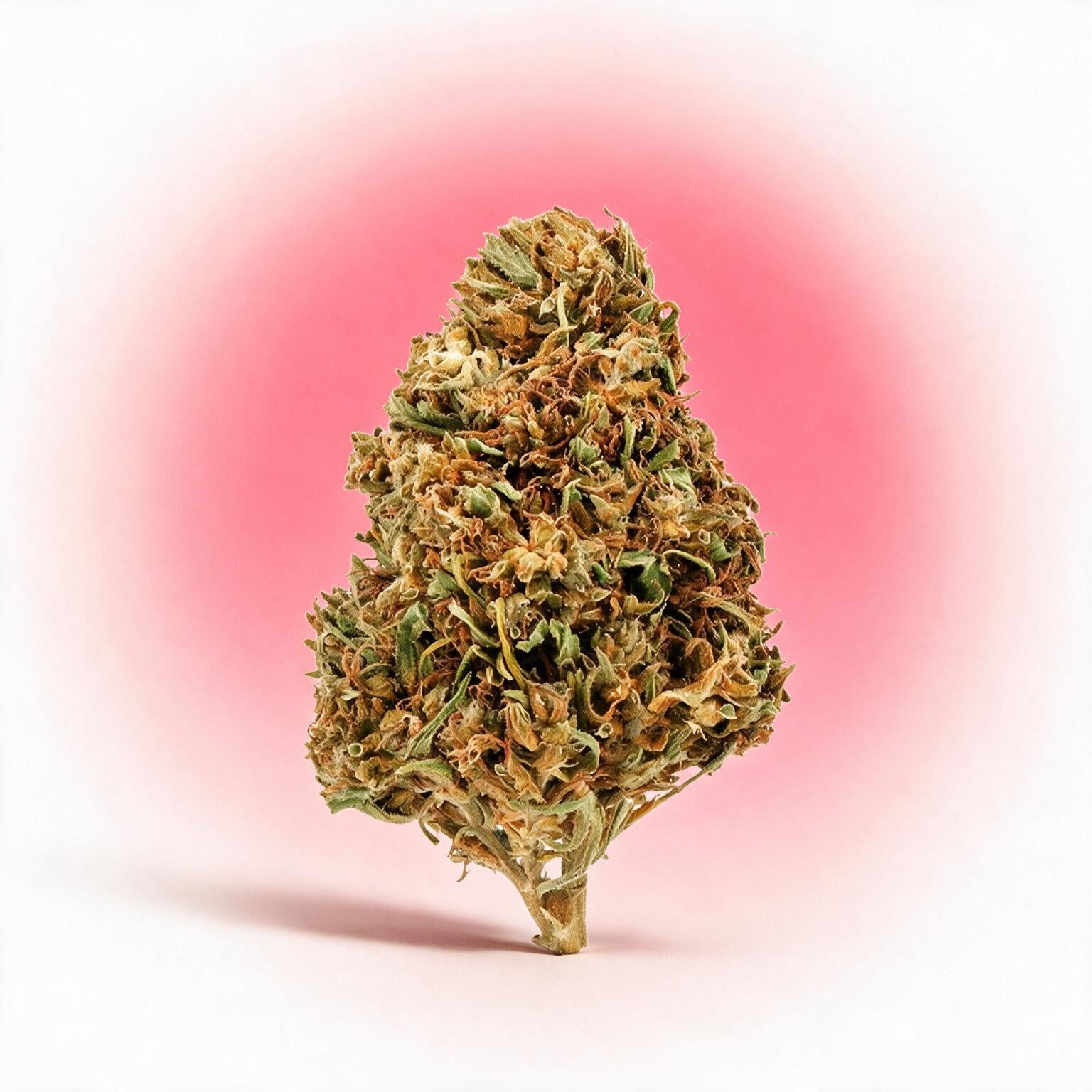 Cali Weed Watermelon fleur CBD 5g goût pastèque