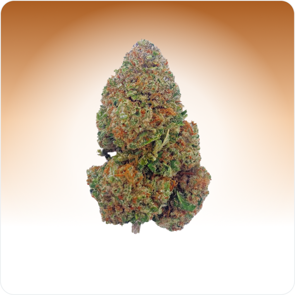 Cali Weed Fleurs CBD Girl Scout Cookies indoor 5G 17%