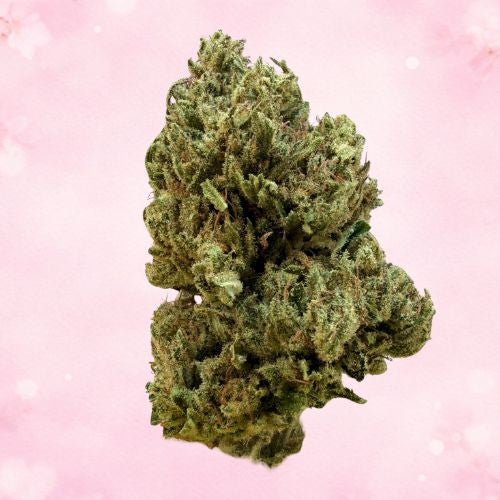 Blato Skunk Fruit fleurs CBD 5g outdoor