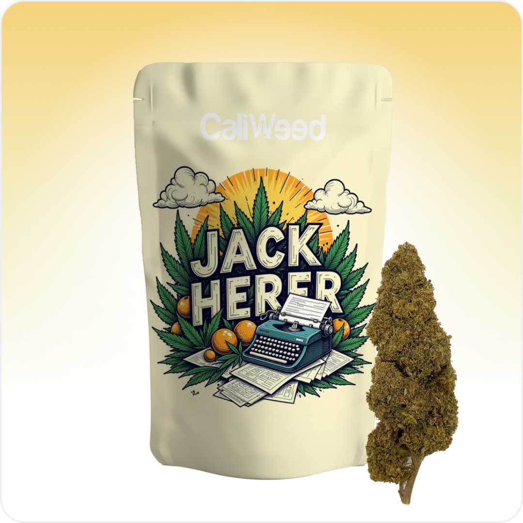 Cali Weed Jack Herer CBD fleur greenhouse 5G 8% boisée