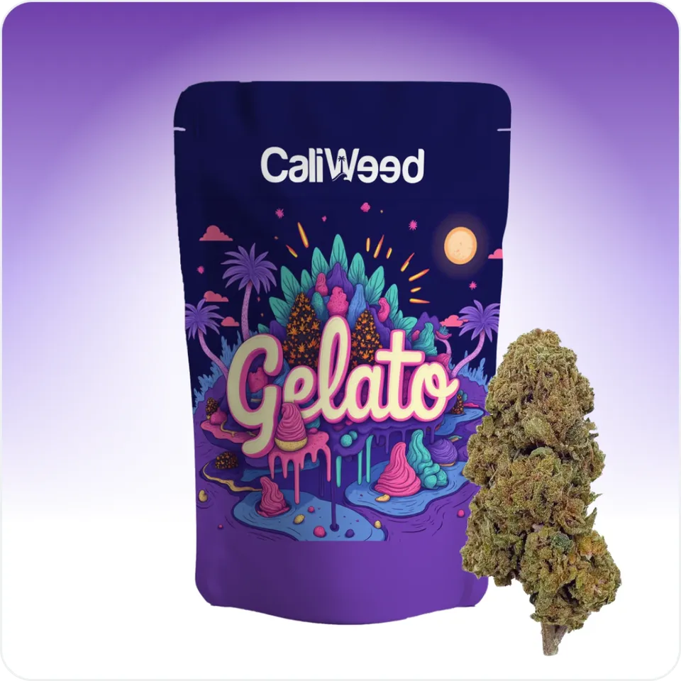 Gelato fleur CBD hybride glasshouse 5 g 15,5% CBD