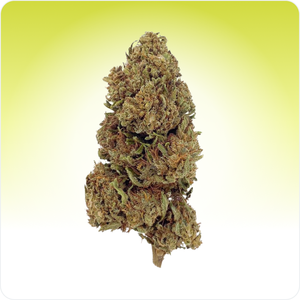 Cali Weed Lemon Haze fleur CBD 5G sativa serre
