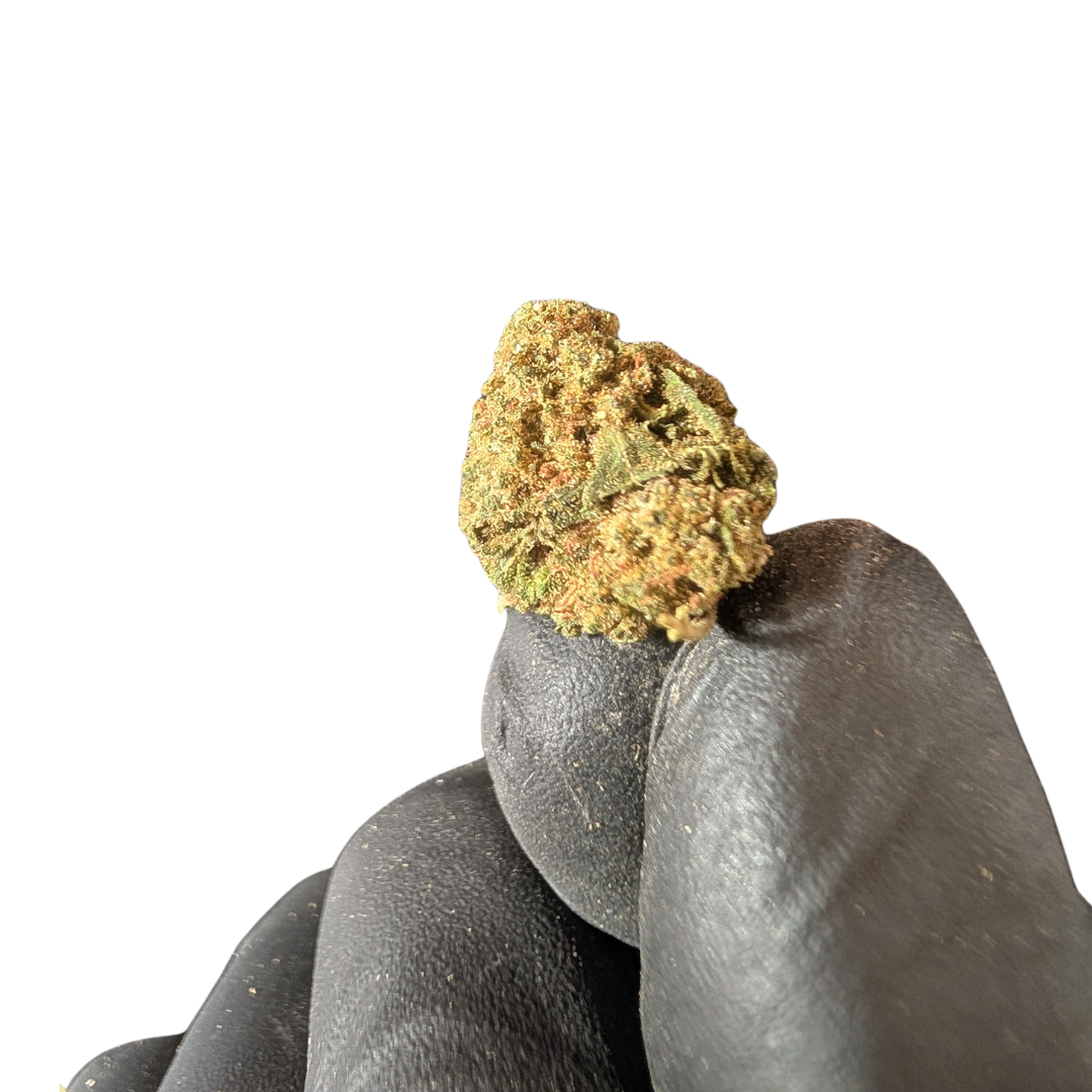 Cali Weed Strawberry Haze fleur CBD 5 g 12% fraise