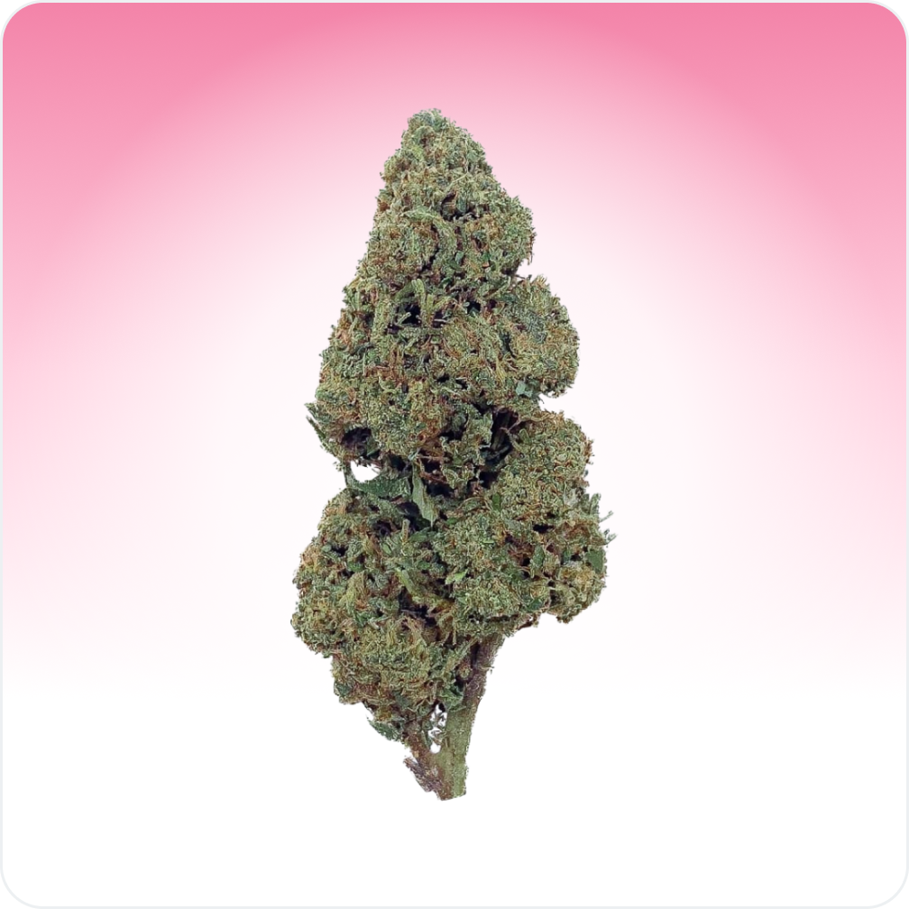 Cali Weed Candy Kush fleur CBD 2,5 g indoor sucrée