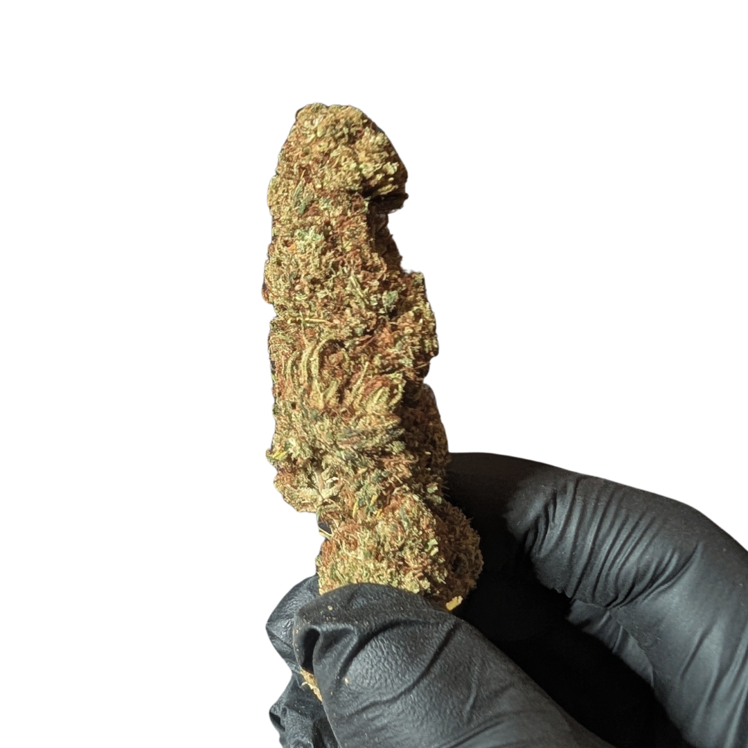 Cali Weed Lemon Haze fleur CBD 5G sativa serre