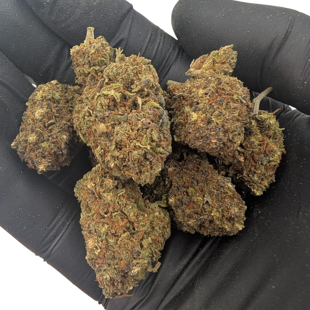 Cali Weed Northern Light fleur de CBD 5 g 10% CBD
