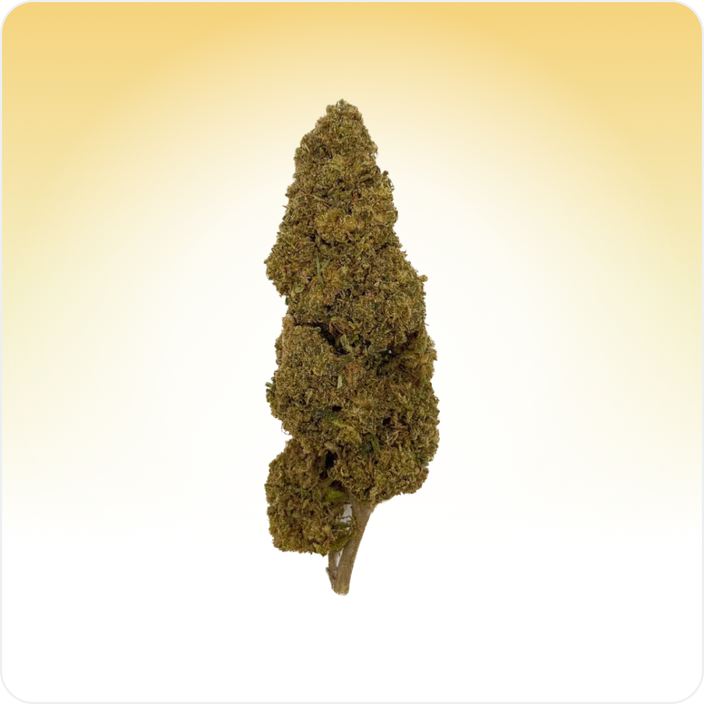 Cali Weed Jack Herer CBD fleur greenhouse 5G 8% boisée