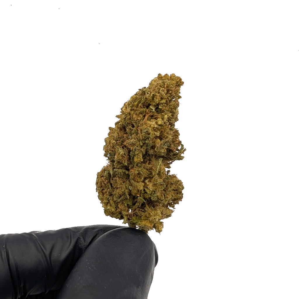 Cali Weed Jack Herer CBD fleur greenhouse 5G 8% boisée