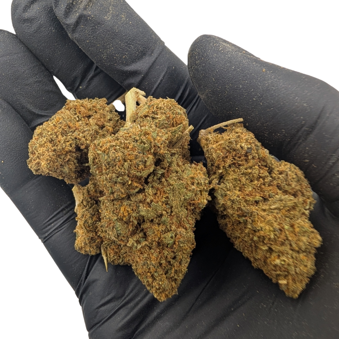 Cali Weed Blue Dream fleur CBD 5 g hybride indoor