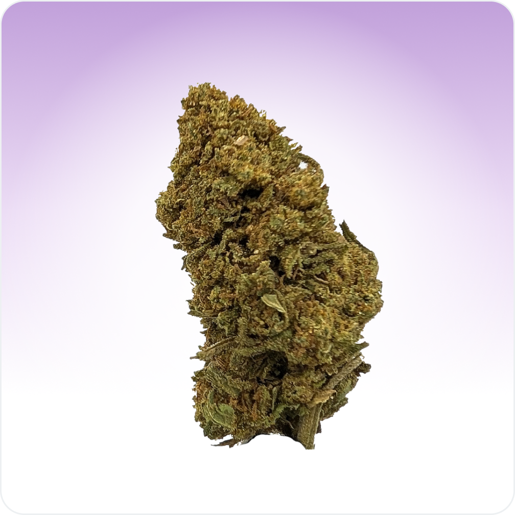 Cali Weed Fleurs de CBD fleur Mimosa 10G agrumes