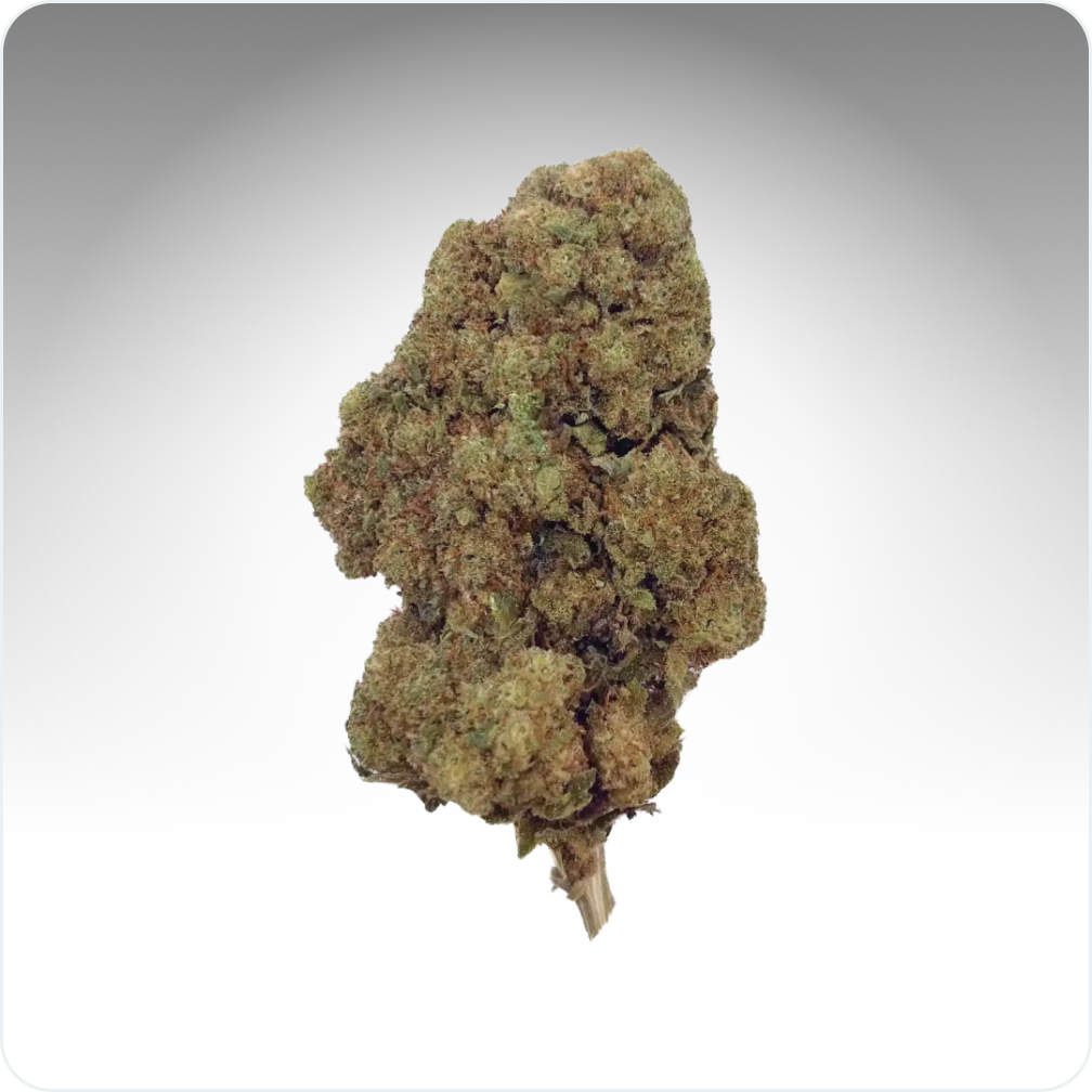 Cali Weed AK-47 CBD fleur greenhouse 5G 18% épicée