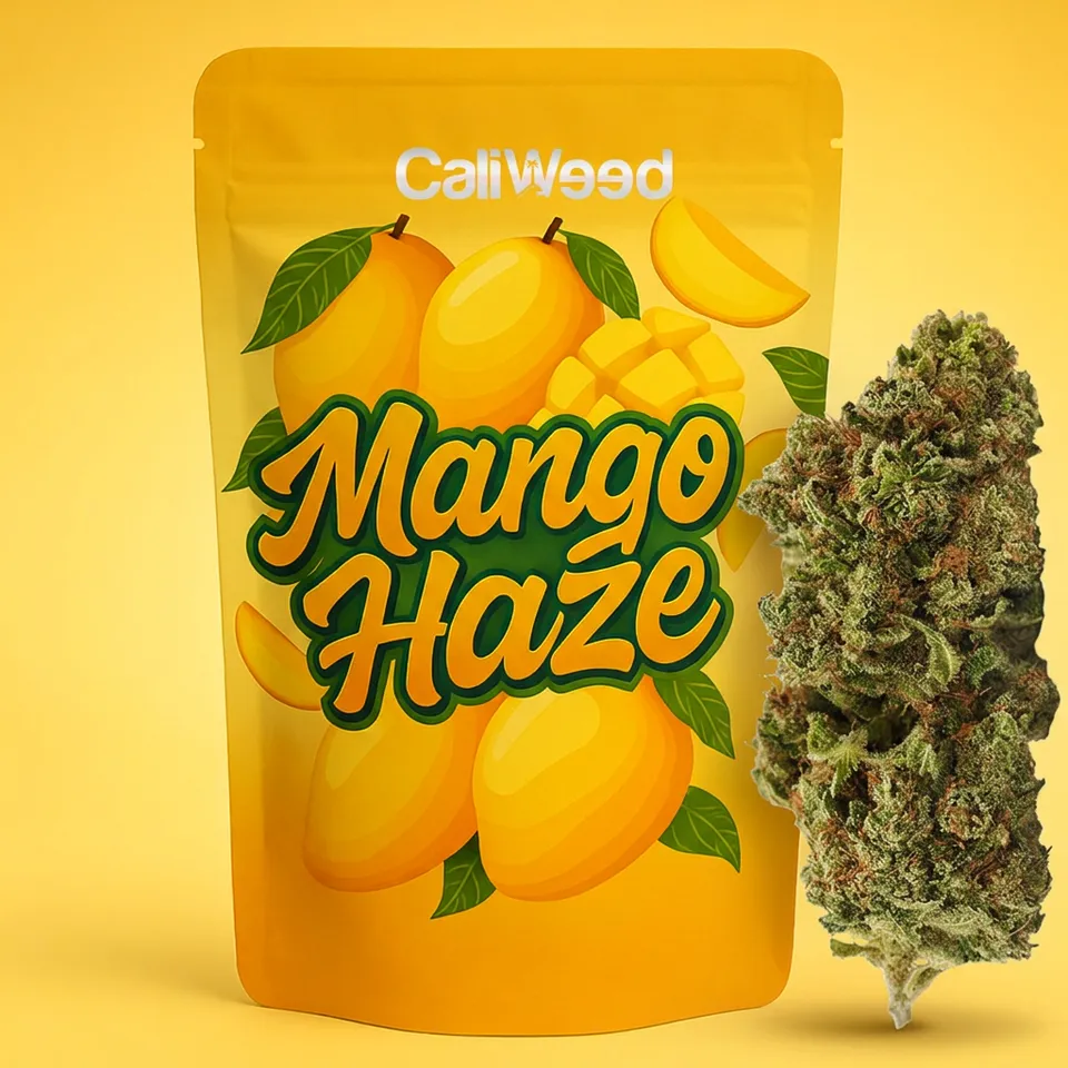 Cali Weed Fleurs CBD Mango Haze 5 g tropicale 16%