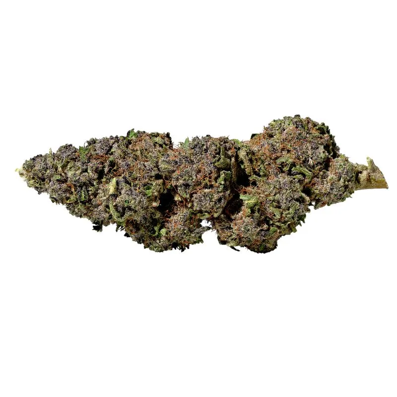 Green Vallée Purple CBG fleur CBG indoor 2 g violette