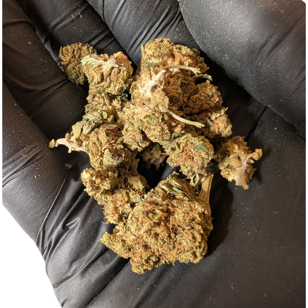 Cali Weed White Widow Fleur CBD Indoor 5g
