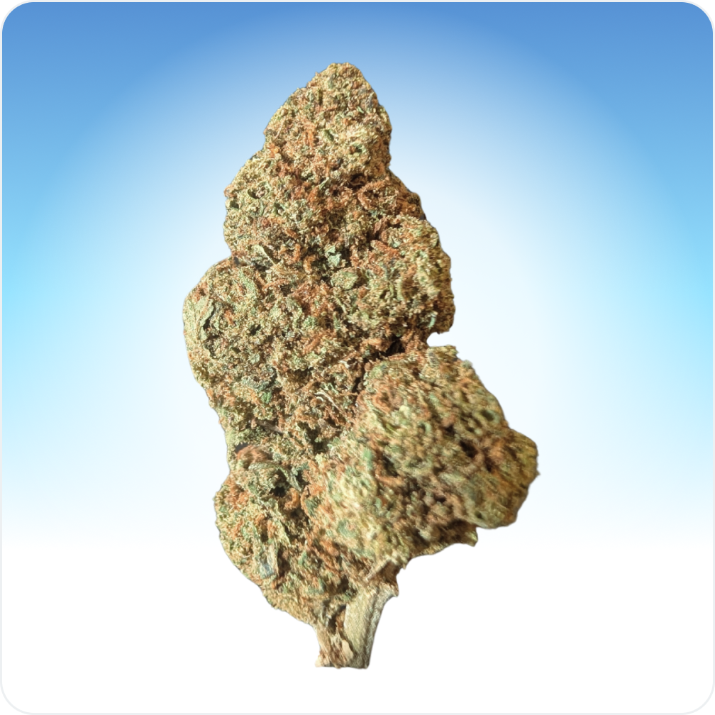 Cali Weed Cali Grape CBD fleur indoor 5G raisin sucrée