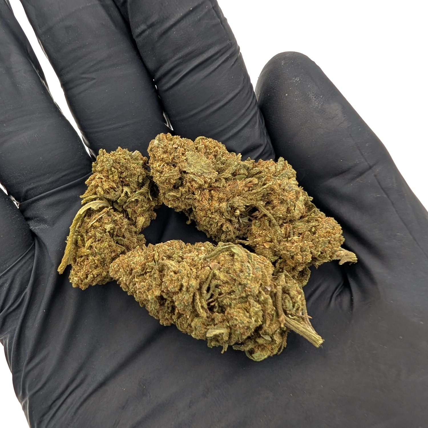 Cali Weed Fleurs de CBD fleur Mimosa 10G agrumes