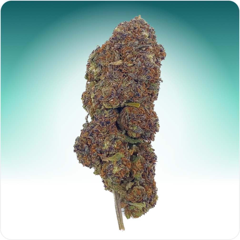 Cali Weed Northern Light fleur de CBD 5 g 10% CBD
