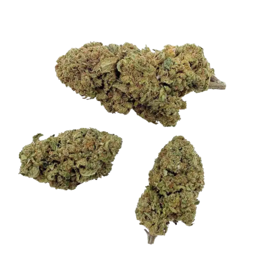 Gelato fleur CBD hybride glasshouse 5 g 15,5% CBD