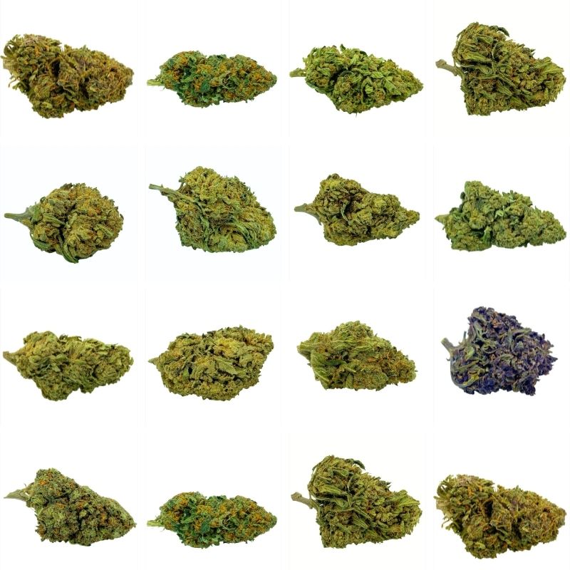 Green Vallée Pack Découverte Fleurs CBD 16 g 16 variétés