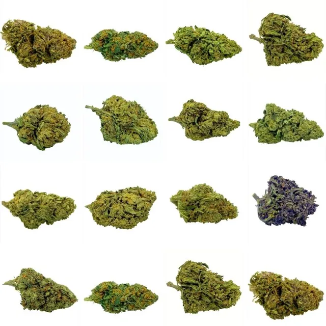 Green Vallée Pack Découverte Fleurs CBD 16 g 16 variétés
